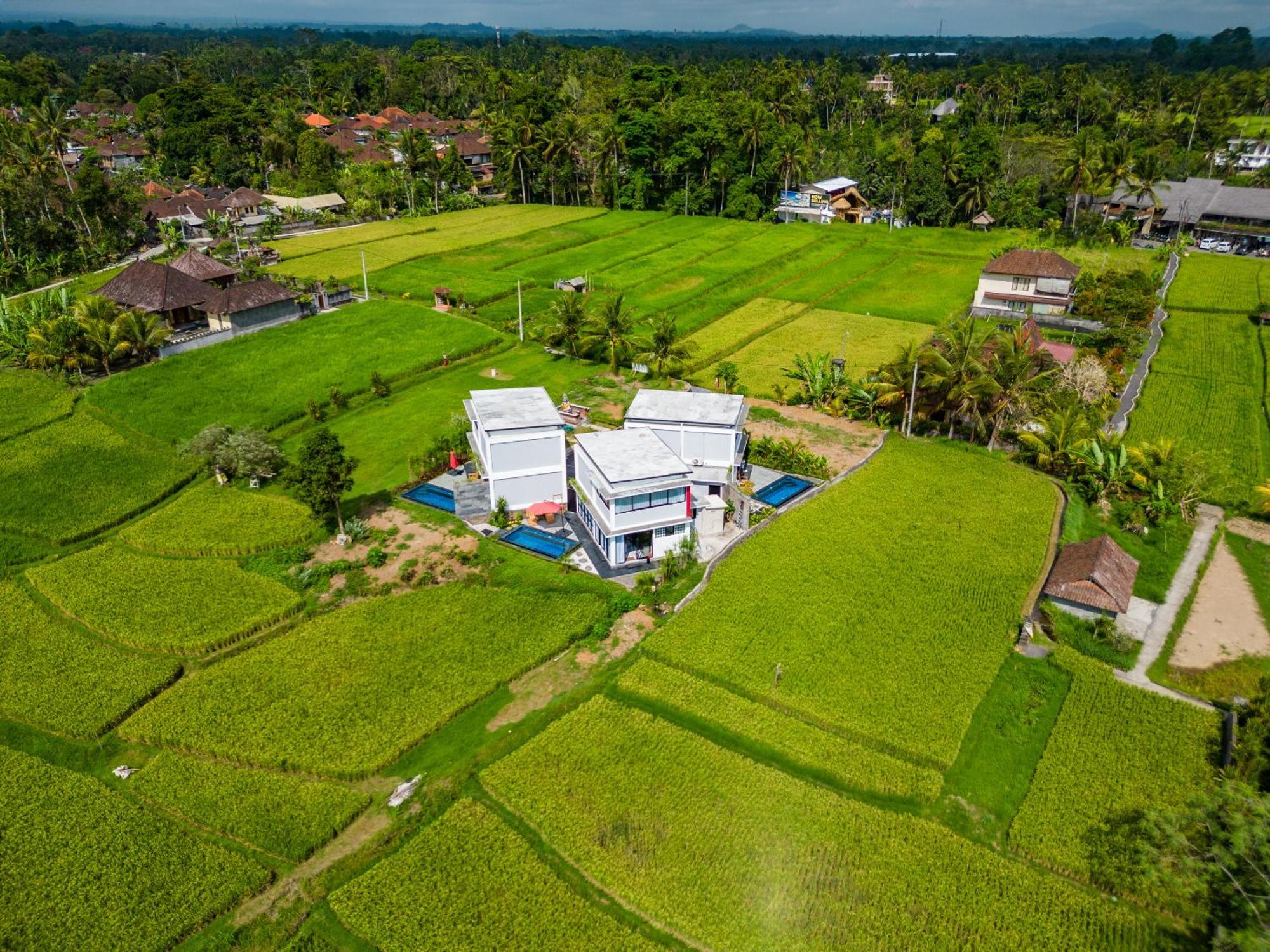 Maple Ridge Ubud Villas Екстериор снимка