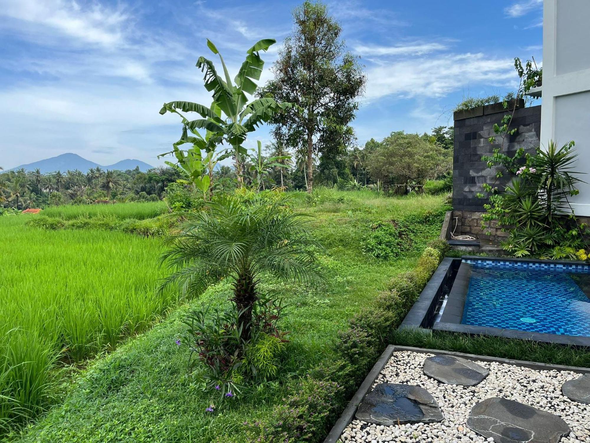 Maple Ridge Ubud Villas Екстериор снимка