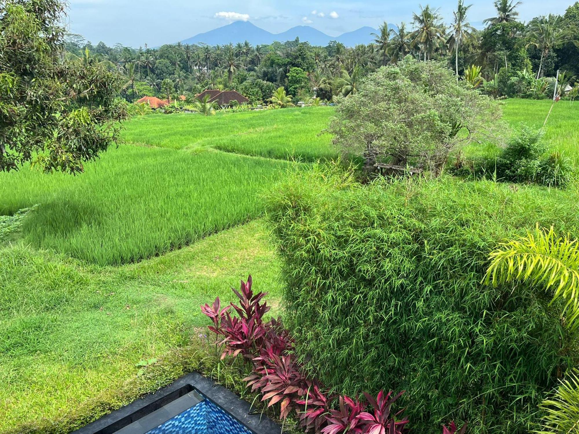 Maple Ridge Ubud Villas Екстериор снимка