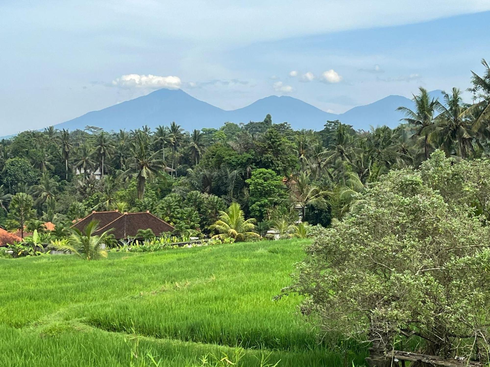 Maple Ridge Ubud Villas Екстериор снимка
